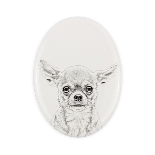 Chihuahua pelo corto lapide - chihuahua,