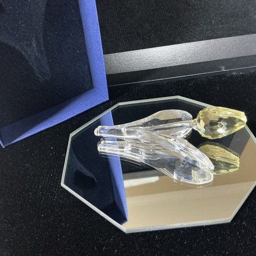 Swarovski crystal 2004 scs - swarovski,