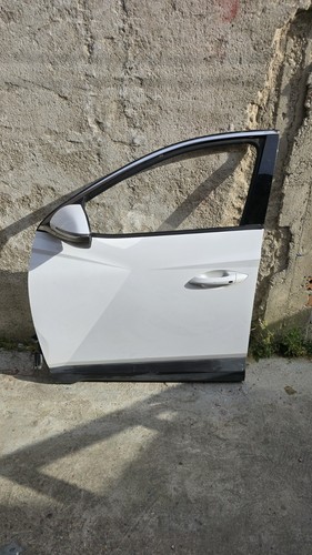 Porta portiera anteriore - porta,