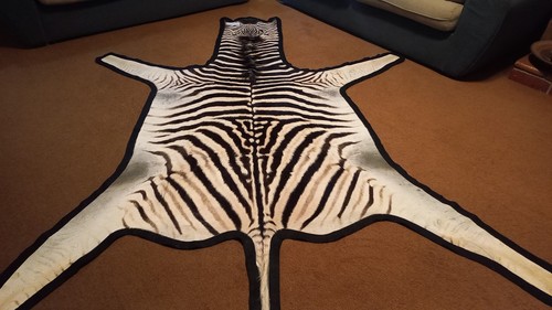 Pelle zebra - di,