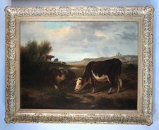 Grande paesaggio con mucche al