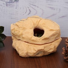  Nascondere Grotta Rettilario