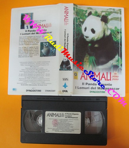 Vhs film panda gigante - vhs, i