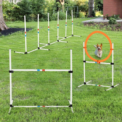 Pawhut set agility - agility, 3