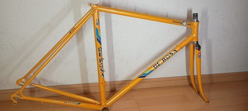 Rosa super prestige freme - super,
