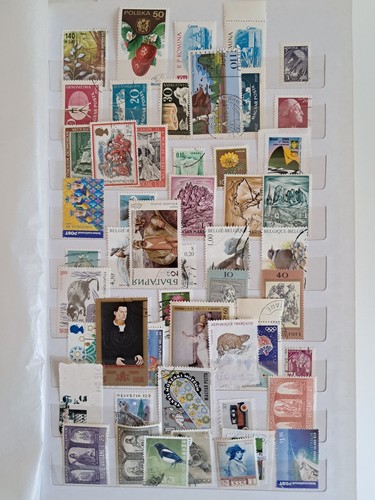 Mondo grande lotto - 16,