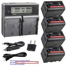 Kastar LCD Dual Fast Charger