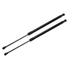 Tailgate support, gas spring