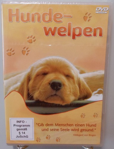 Hunde welpen hundeschule dvd - hundeschule,