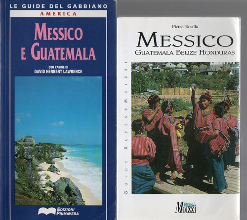Due guide turistiche - due, america