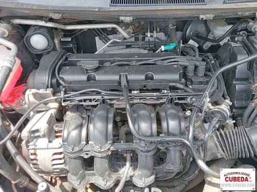 Motore ford fiesta - fiesta, 1.2