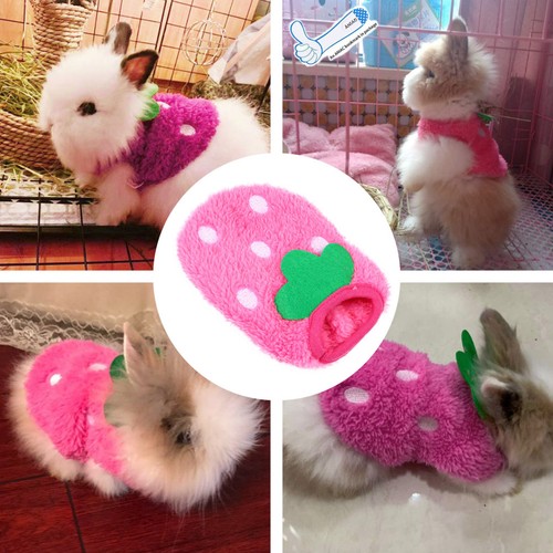 Gilet coniglio animale