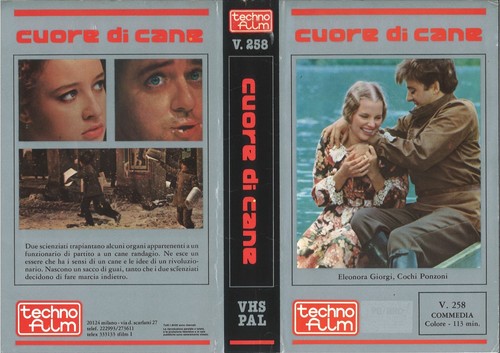 Cuore cane italian video - cane,