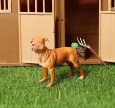 Pitbull Terrier cane animale