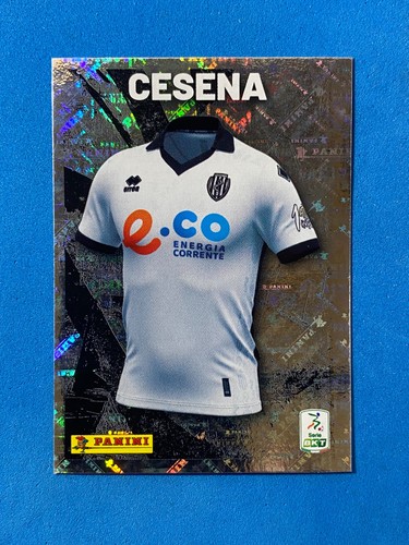 Figurine calciatori panini bkt - panini,