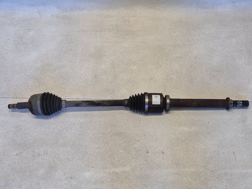 391006777r semialbero ant - 391006777r,