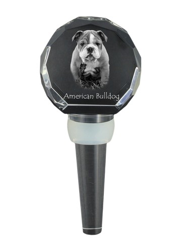 American bulldog - american,