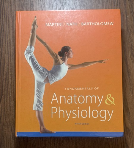 Fundamentals anatomy - anatomy, &