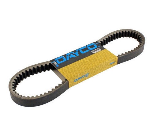 Cinghia trasmissione dayco - cinghia,