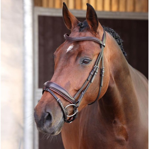 Shires velociti lusso elite - velociti,