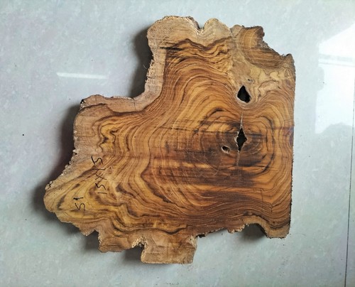 Bordo vivo fetta legno - vivo, di