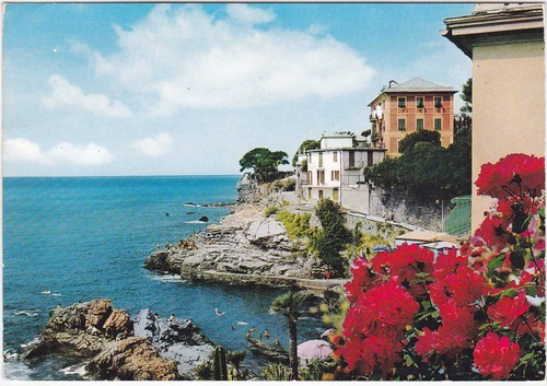 Recco genova la - genova,