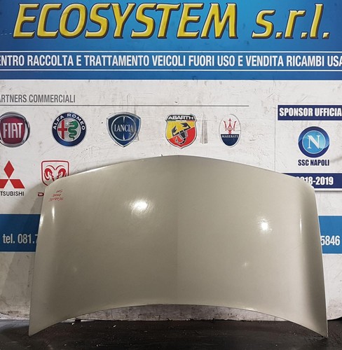Cofano anteriore per renault - anteriore,