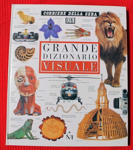 Grande dizionario visuale - grande,