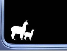 Alpaca Family L808 8 inch