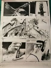 Litografia quadro del pittore tedesco Gunter Rechn firmata originale con falco