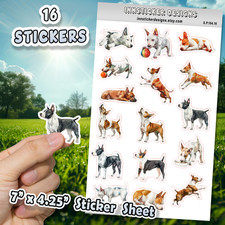 Miniature Bull Terrier Dog