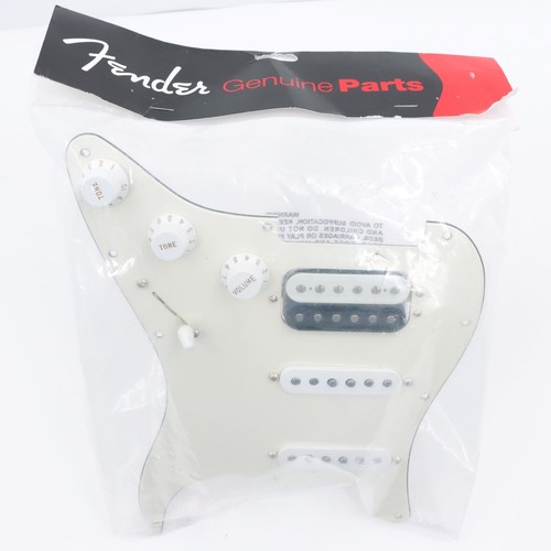 Fender stratocaster gruppo - stratocaster,