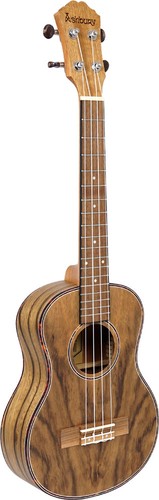 Ashbury 89tz ukulele tenore - ashbury,