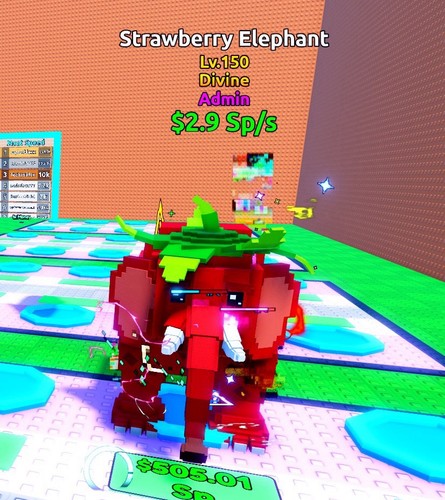 Admin elefante fragole - admin, di