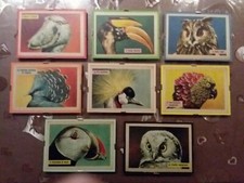 Quadretti con immagini - 8,