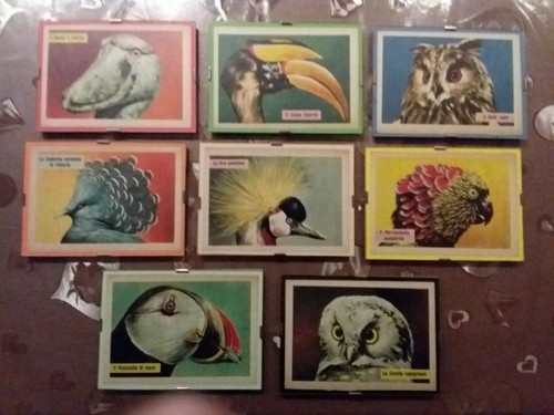 Quadretti con immagini - quadretti,