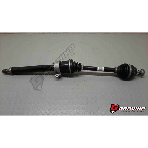 864336202 semialbero ant - 864336202, dx