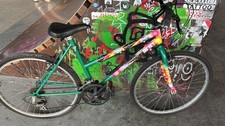 Bicicletta ragazzo VERDE - DISP. SOLO RITIRO