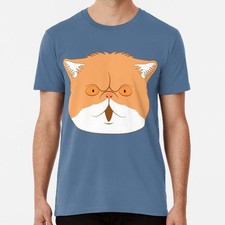 Exotic Shorthair Cat Head Size