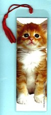 Segnalibro gattino zenzero
