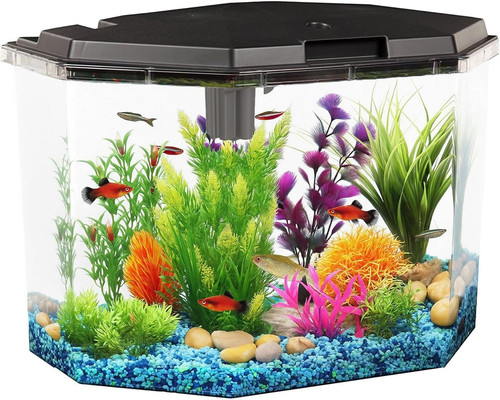 Kit acquario galloni con - 6,5,