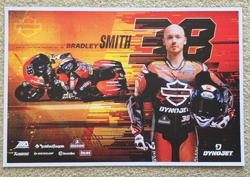 Poster 2025 bradley smith - poster,