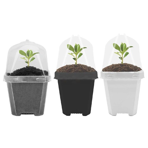 Vasi vivaio piante piccoli