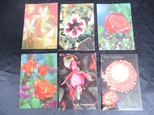 LOTTO # 6 CARTOLINE BUON