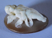 Antico cammeo conchiglia - cammeo,
