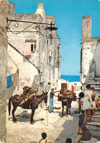Cartolina gargano litorale - gargano,