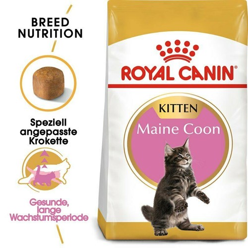 Royal canin maine coon kitten - maine,