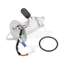 Gruppo pompa carburante