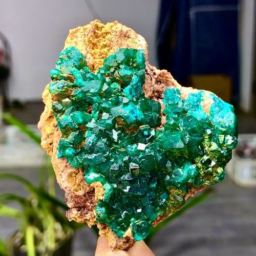82g dioptasi verde - 82g,