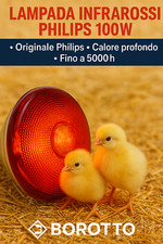 Lampada Philips Infrarossi